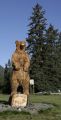 Bear in Wood at SILVER SALMON  36972476 O