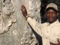 IMG0047 Okavango Spirit Tree w 2400934 O