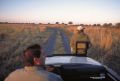 IMG0056 Okavango Game Drive 2400952 O