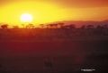 IMG0040 Amboselli Sunset 2400858 O