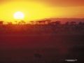 IMG0040 Amboselli Sunset 2400858 O