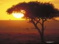 IMG0041 Amboselli Sunrise 2400868 O